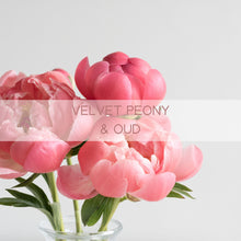 Load image into Gallery viewer, Velvet Peony &amp; Oud Aroma Pod
